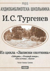 Из записок охотника: Лебедянь. Уездный лекарь. Лес и степь. Льгов (Иван Тургенев)