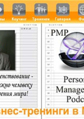 Миссия: что это такое и как этим пользоваться в России? (Дмитрий Потапов,                           Сергей Потапов)