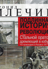 Подлинная история революции, или Стальной оратор, дремлющий в кобуре. Что происходило в России в 1917 году (Леонид Млечин)