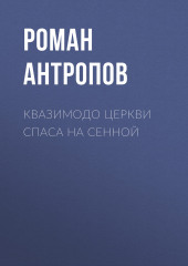 Квазимодо церкви Спаса на Сенной (Роман Антропов)