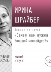 Лекция «Зачем нам нужен Большой коллайдер» (Ирина Шрайбер)