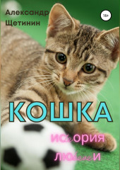 Кошка. История любви (Александр Щетинин)