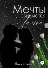 Мечты сбываются зимой (Лина Флейм)