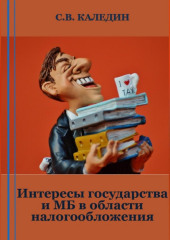 Интересы государства и МБ в области налогообложения (Сергей Каледин)