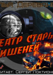 Театр старых мишеней (Илья Деревянко)