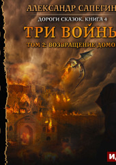 Три войны. том 2: Возвращение домой (Александр Сапегин)