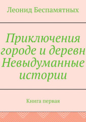 Приключения в городе и деревне. Невыдуманные истории. Книга первая (Леонид Беспамятных)