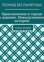 Приключения в городе и деревне. Невыдуманные истории. Книга вторая (Леонид Беспамятных)