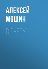 В снегу (Алексей Мошин)