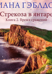 Стрекоза в янтаре. Книга 2. Время сражений (Диана Гэблдон)