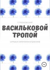 Васильковой тропой (Стребковский)