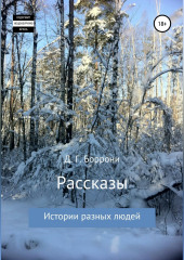 Рассказы: истории разных людей (Дмитрий Боррони)